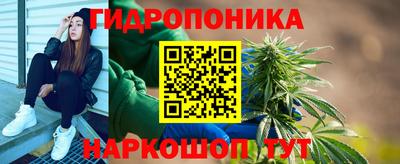 гидра Дубна