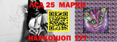 стафф Донецк