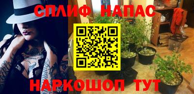 МДПВ Донской