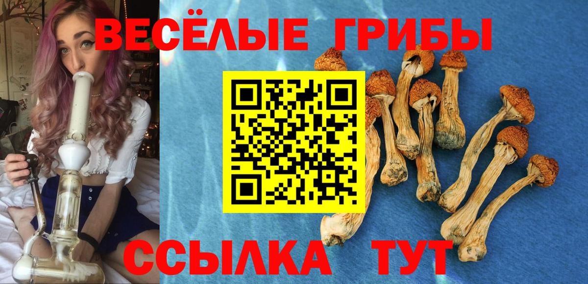Нефтекамск  Галлюциногенные грибы Magic Shrooms  Вход с VPN 